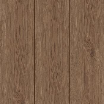 kiwi now | 40KN522 Opal Oak Coffee