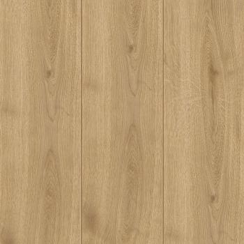 kiwi now | 40KN792 Adaja Oak