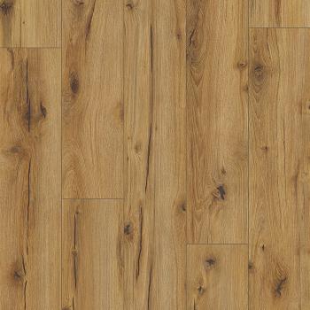 CLASSEN � Arteo 8M | 62750 Erg Oak