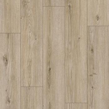 CLASSEN � Arteo 8M | 62758 Nefud Oak