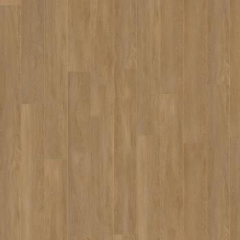 kiwi now | 81KN092 Absolut Oak Brown