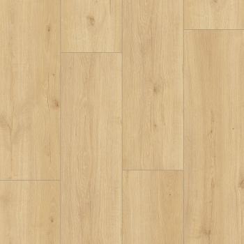 CLASSEN � Melody 4V | 65348 Alicante Oak