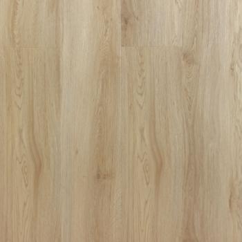 REPUBLIC � Alligator |  >> A002 Side Eye