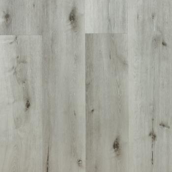 REPUBLIC � Alligator |  >> A005 Gulp