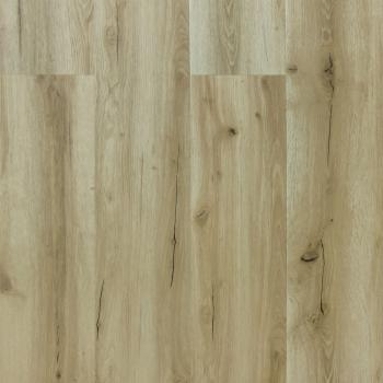 REPUBLIC � Alligator |  >> A006 Goofy