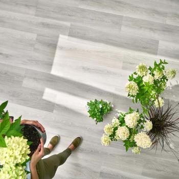 WOODRIC CW 175  INTERIER