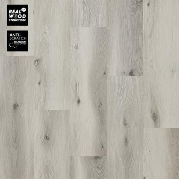 ARBITON � Woodric Click EIR Acoustic | CWSA 202 Baltimore Oak