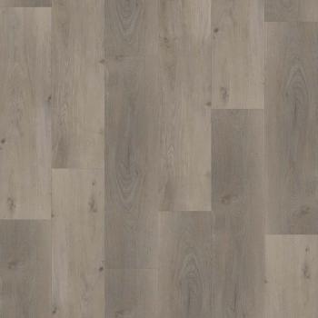 CHECK � Premium | 2073 Lausitz Oak