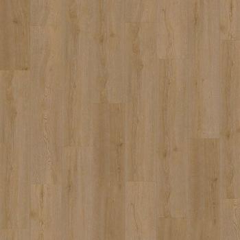 CHECK � Standard | 2467 Lohe Oak