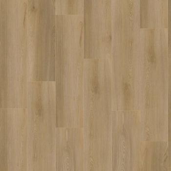 CHECK � Standard | 2472 Morbach Oak