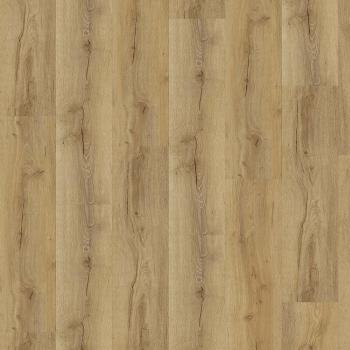 CHECK � Comfort Cork | 2507 Agullana Oak