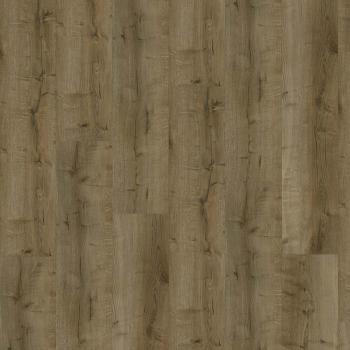 CHECK � Comfort Cork | 2515 Pedro Oak