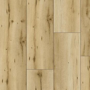 CLASSEN � Arteo 8XL | 54831 Denali Oak