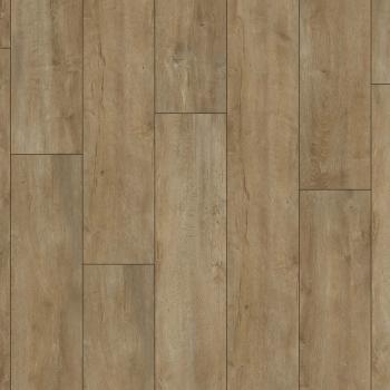 KRONOTEX � Exquisit Plus | D4983 Oriental Oak Nature
