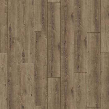KRONOTEX � Exquisit Plus | D6019 Kashmir Oak Brown