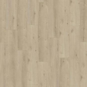 KRONOTEX � Exquisit Plus | D6021 Kashmir Oak Beige