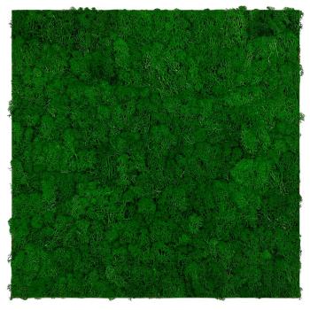 JANGAL � Modular Wall - Nature Moss | 11100 Nature Green