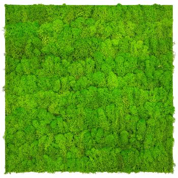 JANGAL � Modular Wall - Nature Moss | 11102 Bright Green