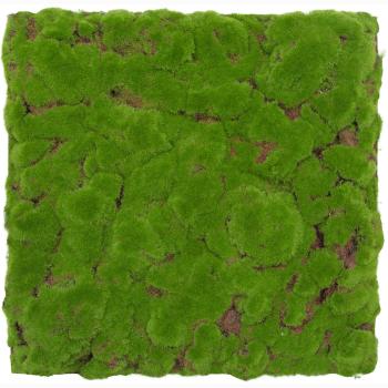 JANGAL � Modular Wall - Design Moss | 11111 Forest Green Bulk