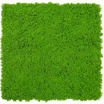 JANGAL � Modular Wall - Design Moss | 11121 Lime Green