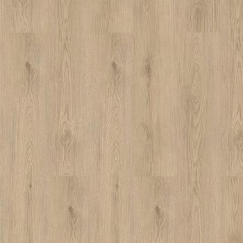 CHECK � Standard Long & Wide | 2485 Grasholz Oak