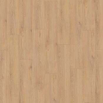 KRONOTEX � 8 Solid / 244 mm | 91722 Vincent Oak Nature