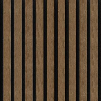 MEO � Acoustic | Orinoco