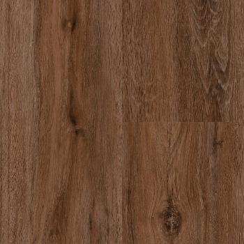 FALQUON � Wood 5G | P1005 Portland Oak