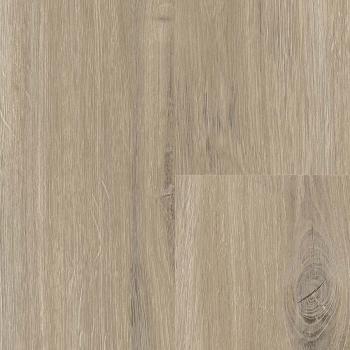 FALQUON � Wood 5G | P6001 Tuscon Oak