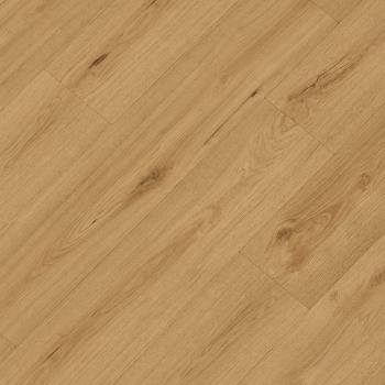 REPUBLIC � Crocodile |  >> C007 Highkey