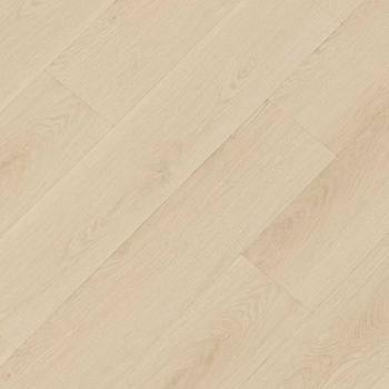 REPUBLIC � Crocodile |  >> C008 Lit