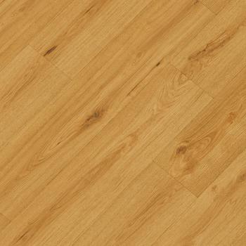 REPUBLIC � Crocodile |  >> C010 Clapback