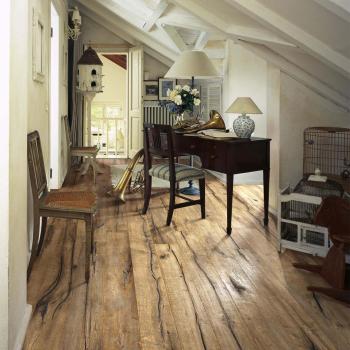 dub maggiore interier