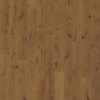 K�HRS � Canvas | Tuft Oak